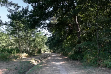 Parc de Mandavit de Gradignan (8).